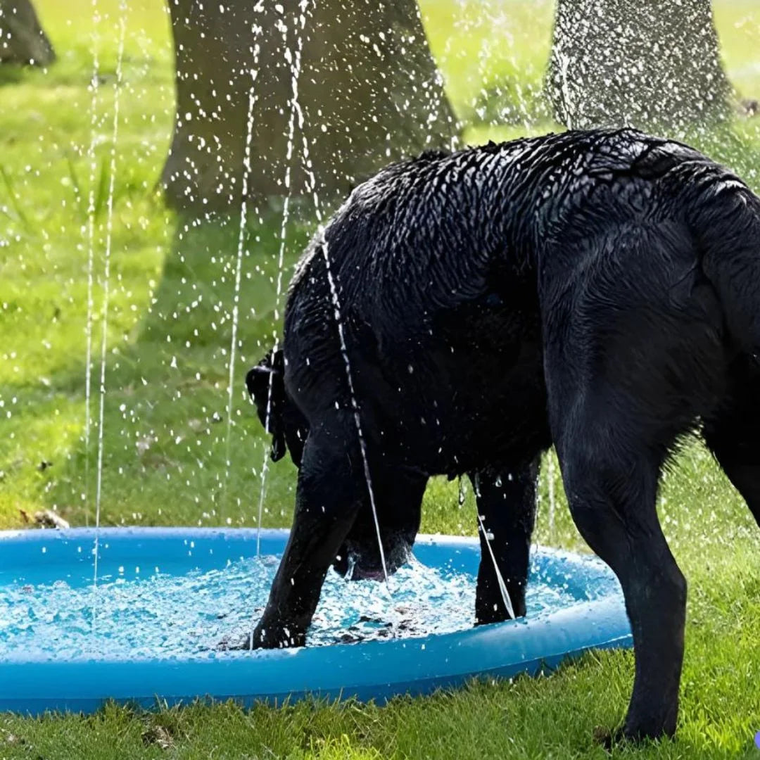 SplashWater®  ¡La Diversión Refrescante para tu Peludo!