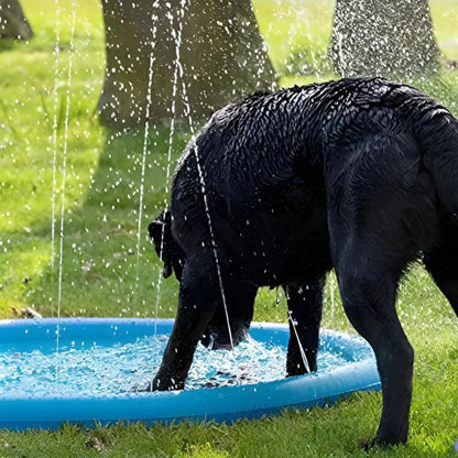 SplashWater®  ¡La Diversión Refrescante para tu Peludo!