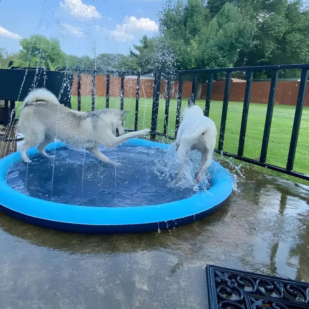 SplashWater®  ¡La Diversión Refrescante para tu Peludo!