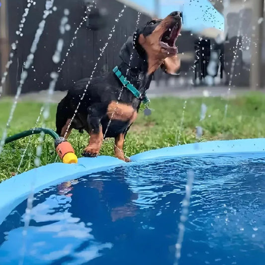 SplashWater®  ¡La Diversión Refrescante para tu Peludo!