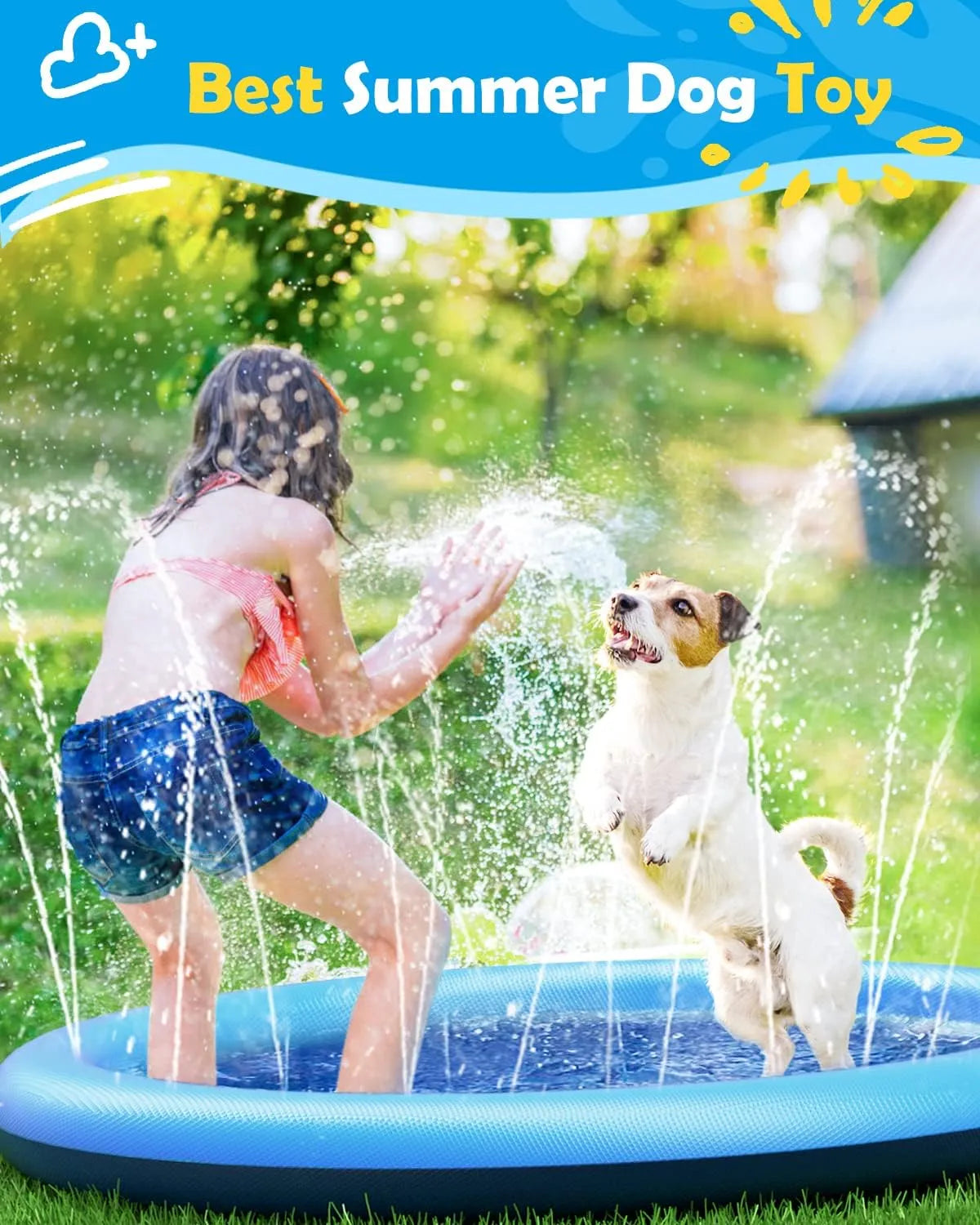 SplashWater®  ¡La Diversión Refrescante para tu Peludo!